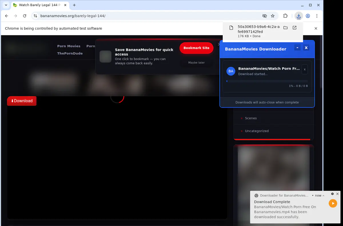 Bananamovies Video Downloader browser extension screenshot 2
